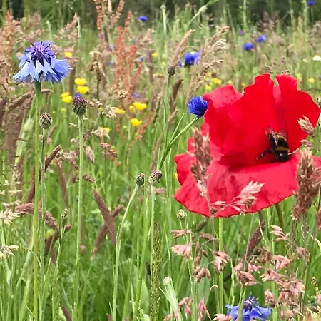 Frühstückspension 84huis Amstelveen