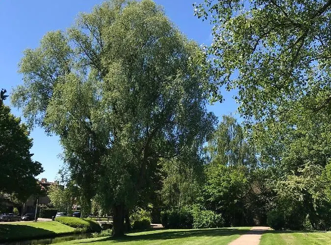 84huis Couette-café Amstelveen