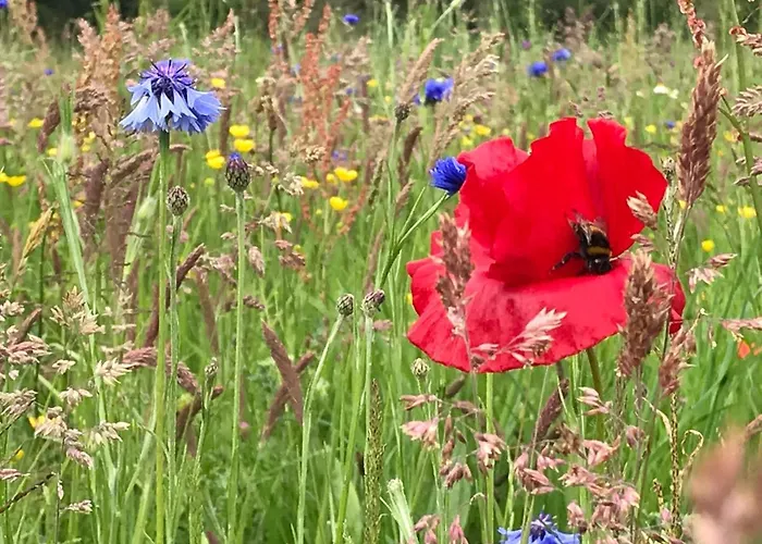 Couette-café 84huis Amstelveen